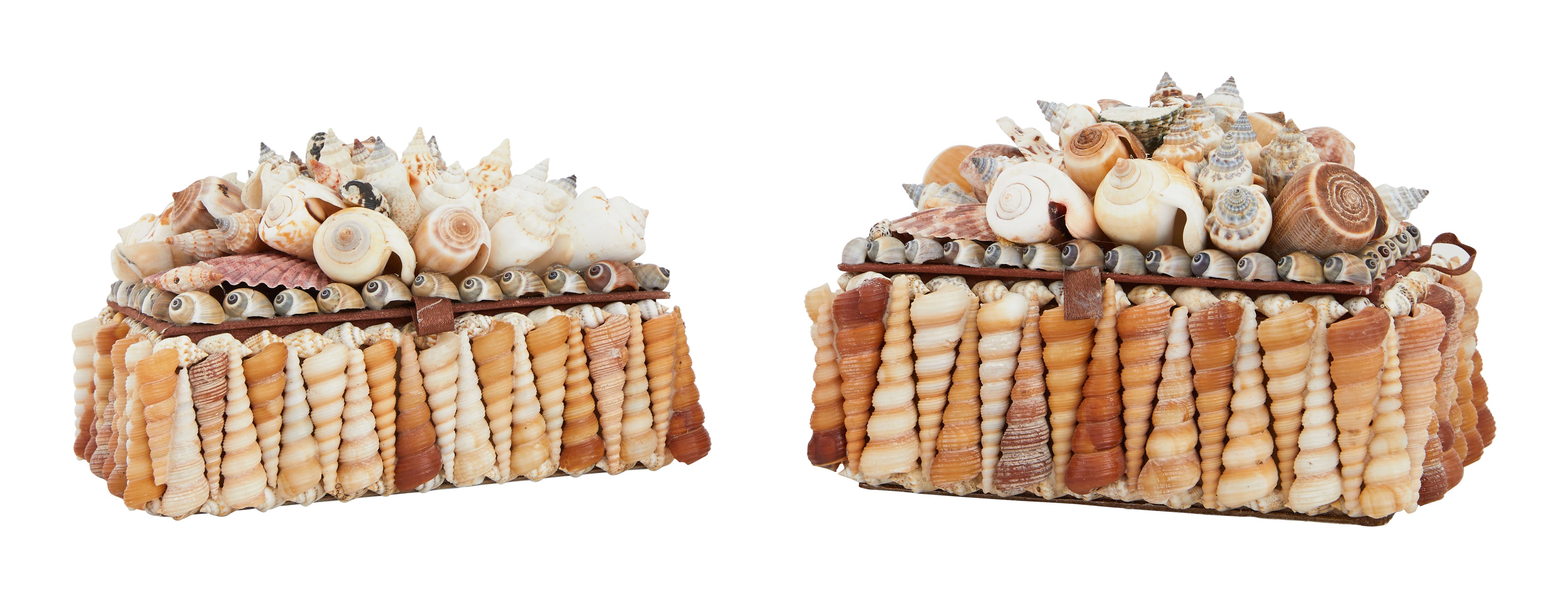 Large Shell Boxes & Jayson Home