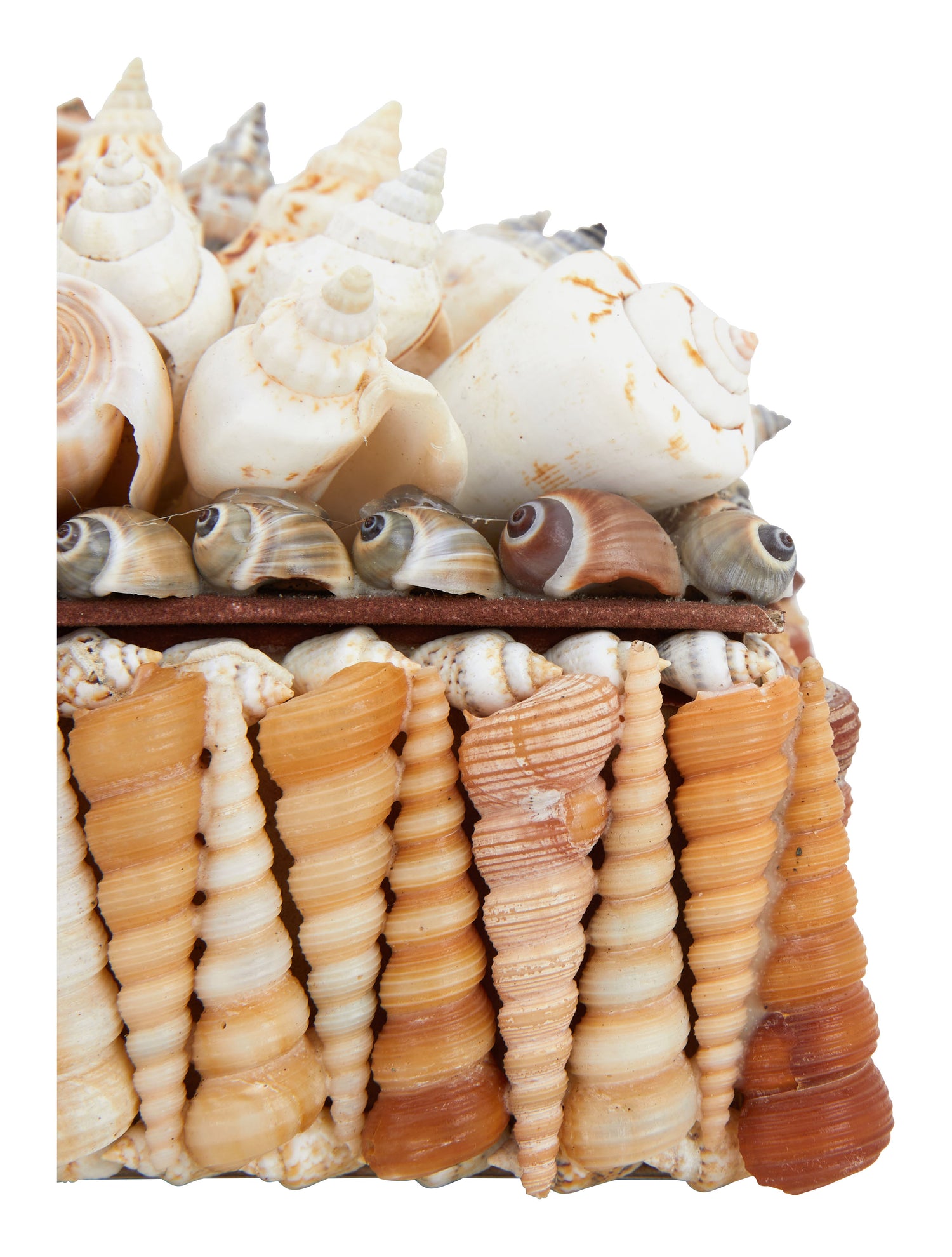 Large Shell Boxes & Jayson Home