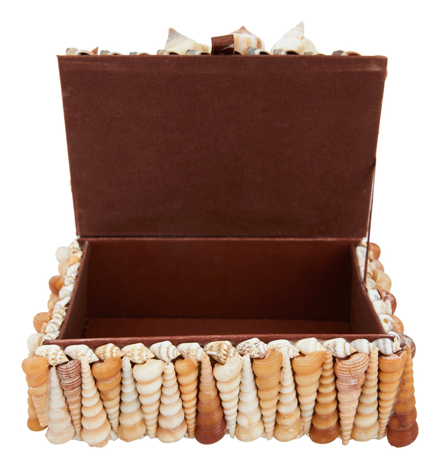 Large Shell Boxes & Jayson Home