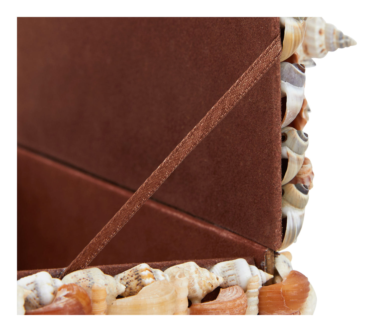 Large Shell Boxes & Jayson Home