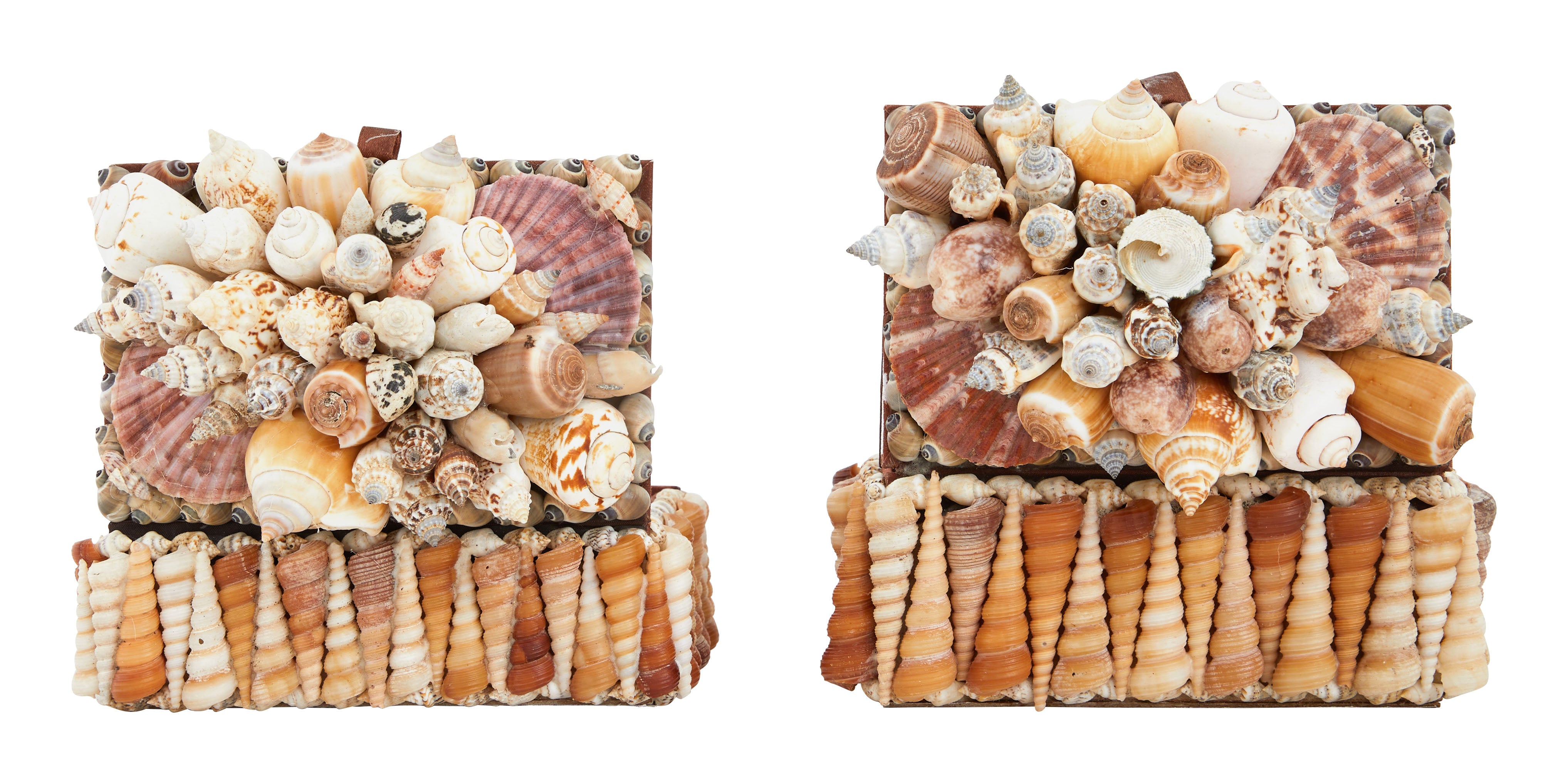 Large Shell Boxes & Jayson Home