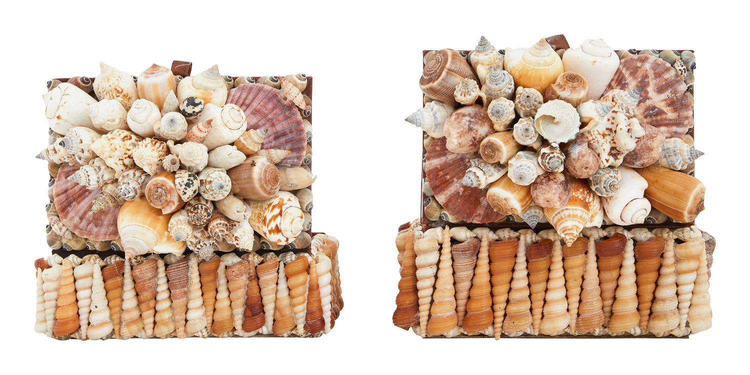 Large Shell Boxes & Jayson Home