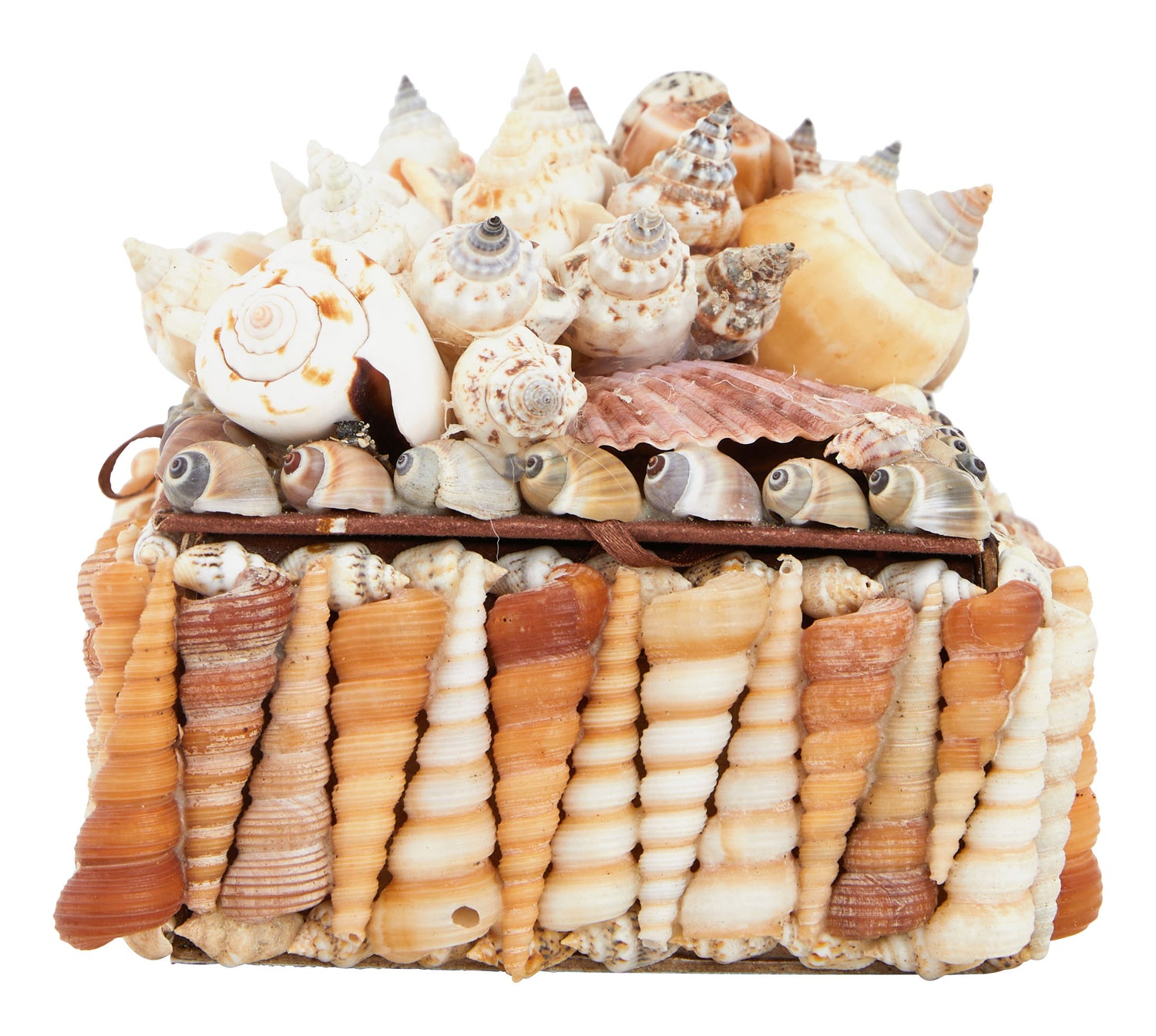 Large Shell Boxes & Jayson Home