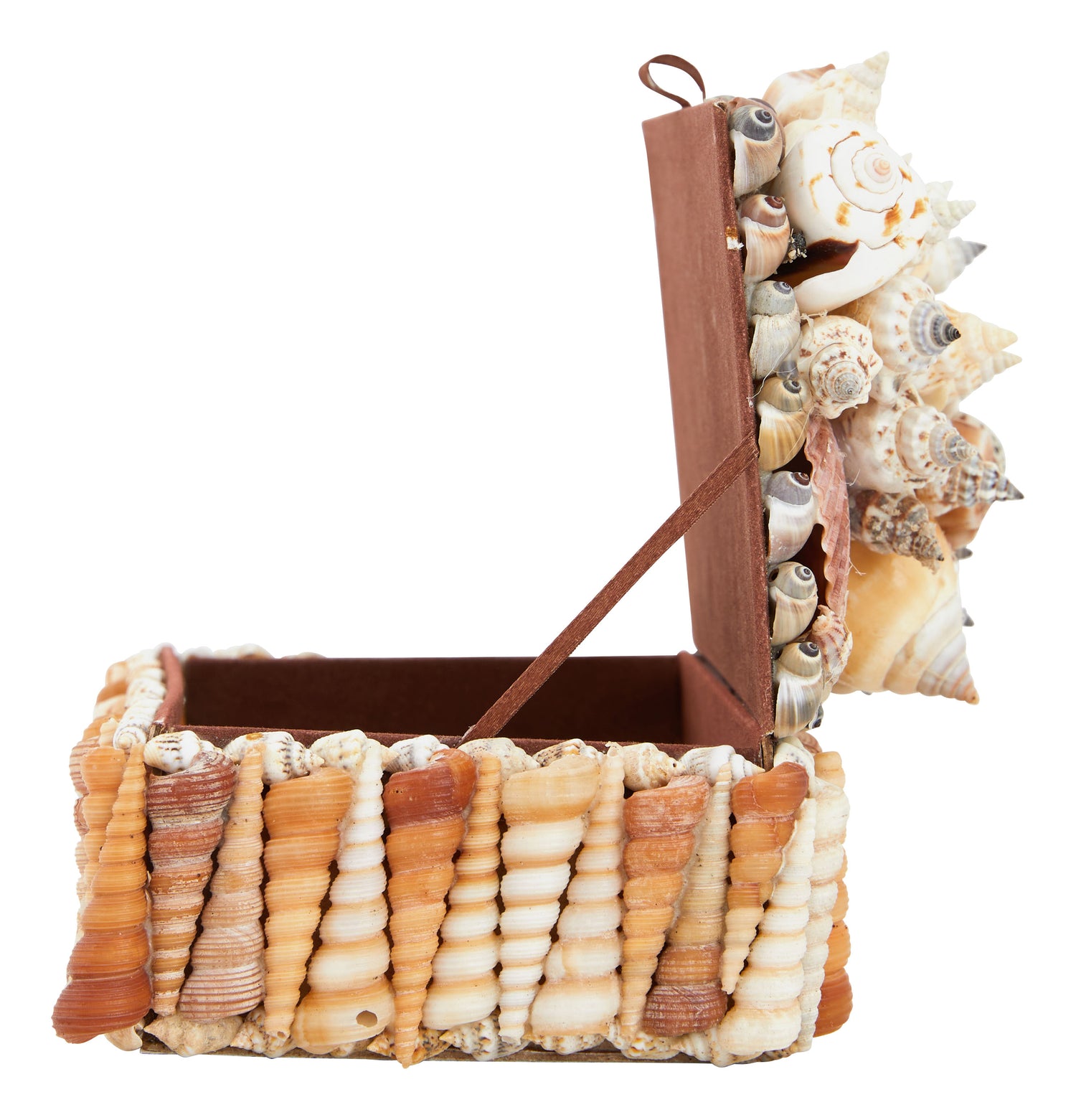 Large Shell Boxes & Jayson Home