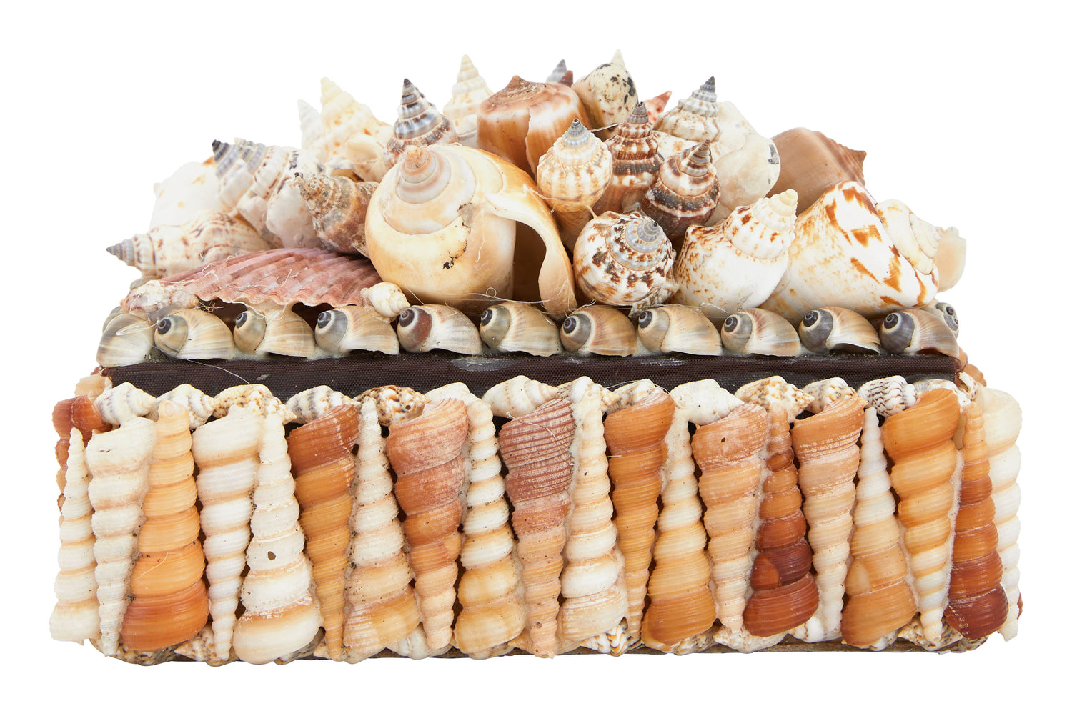 Large Shell Boxes & Jayson Home