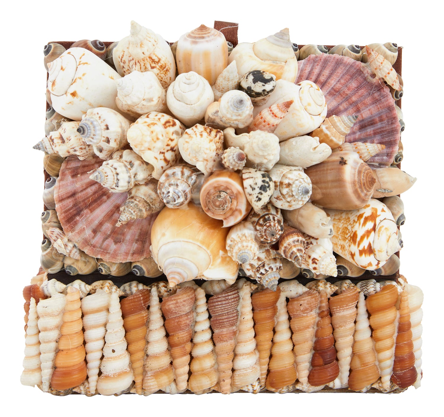 Large Shell Boxes & Jayson Home