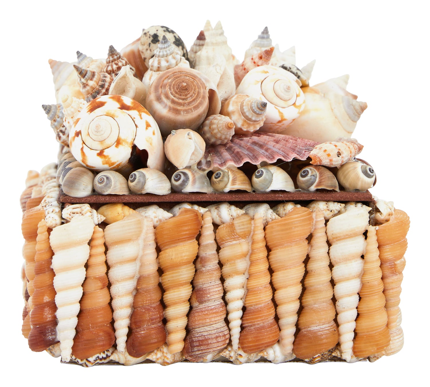 Large Shell Boxes & Jayson Home