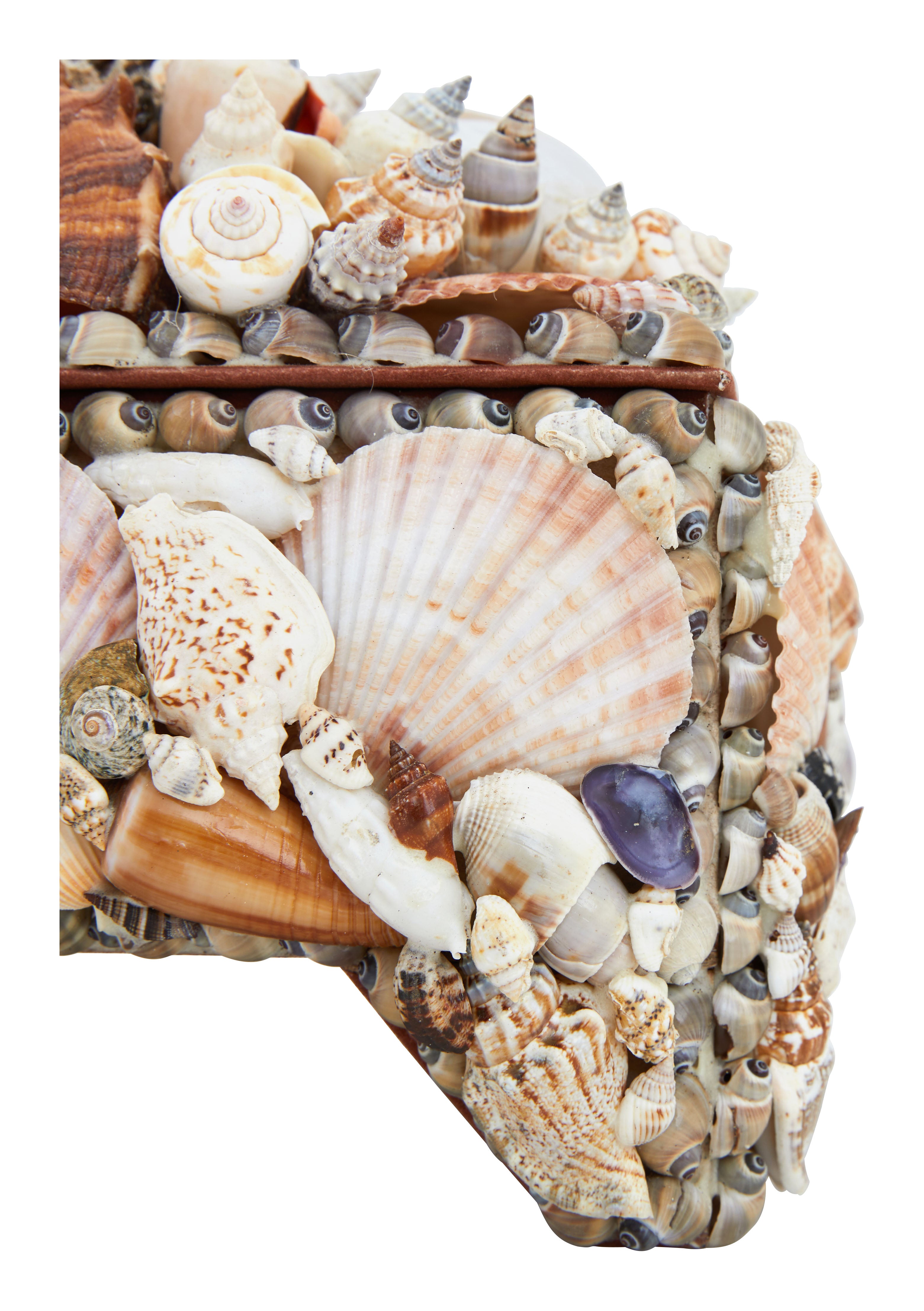 Large Shell Boxes & Jayson Home