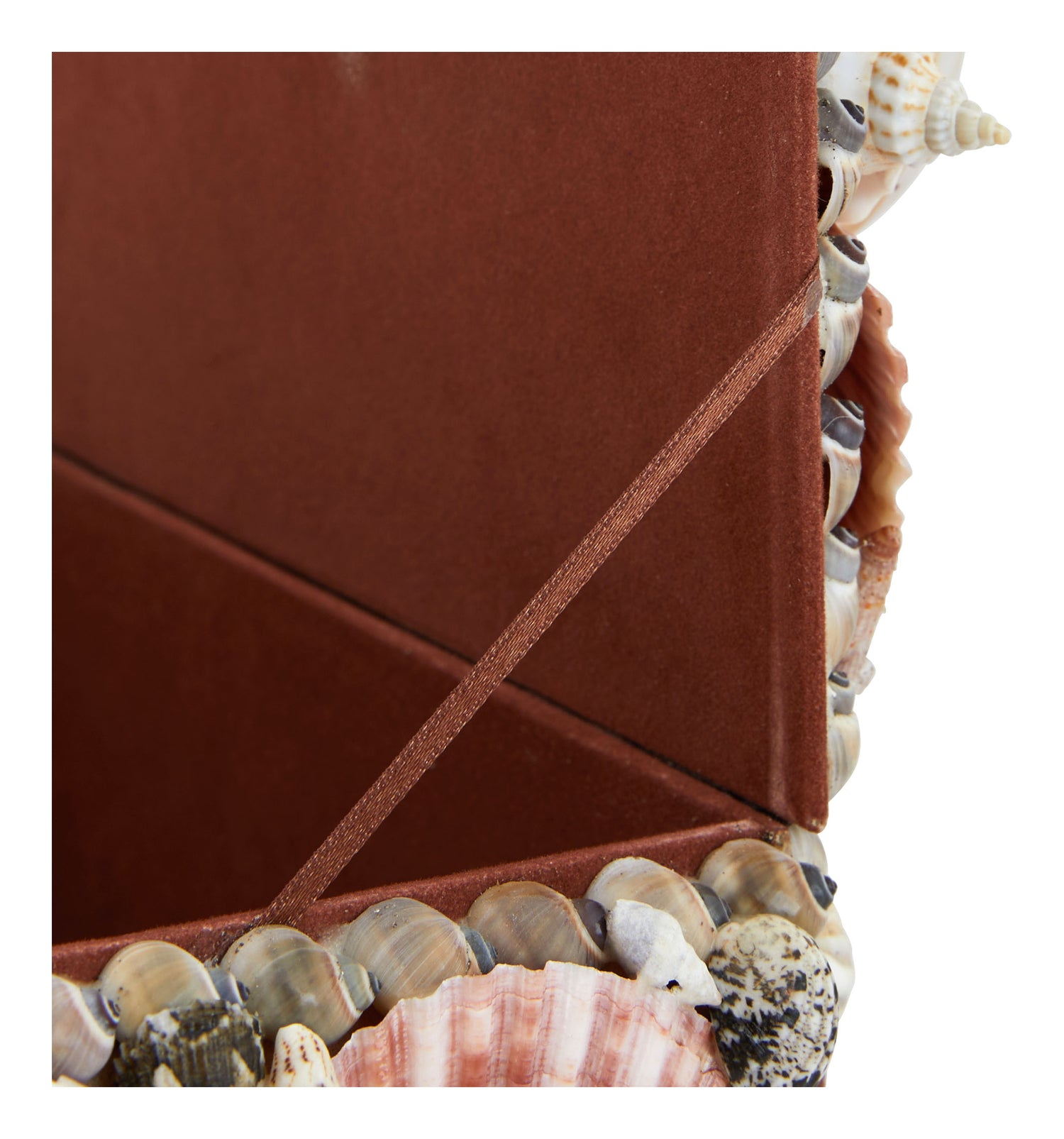 Large Shell Boxes & Jayson Home