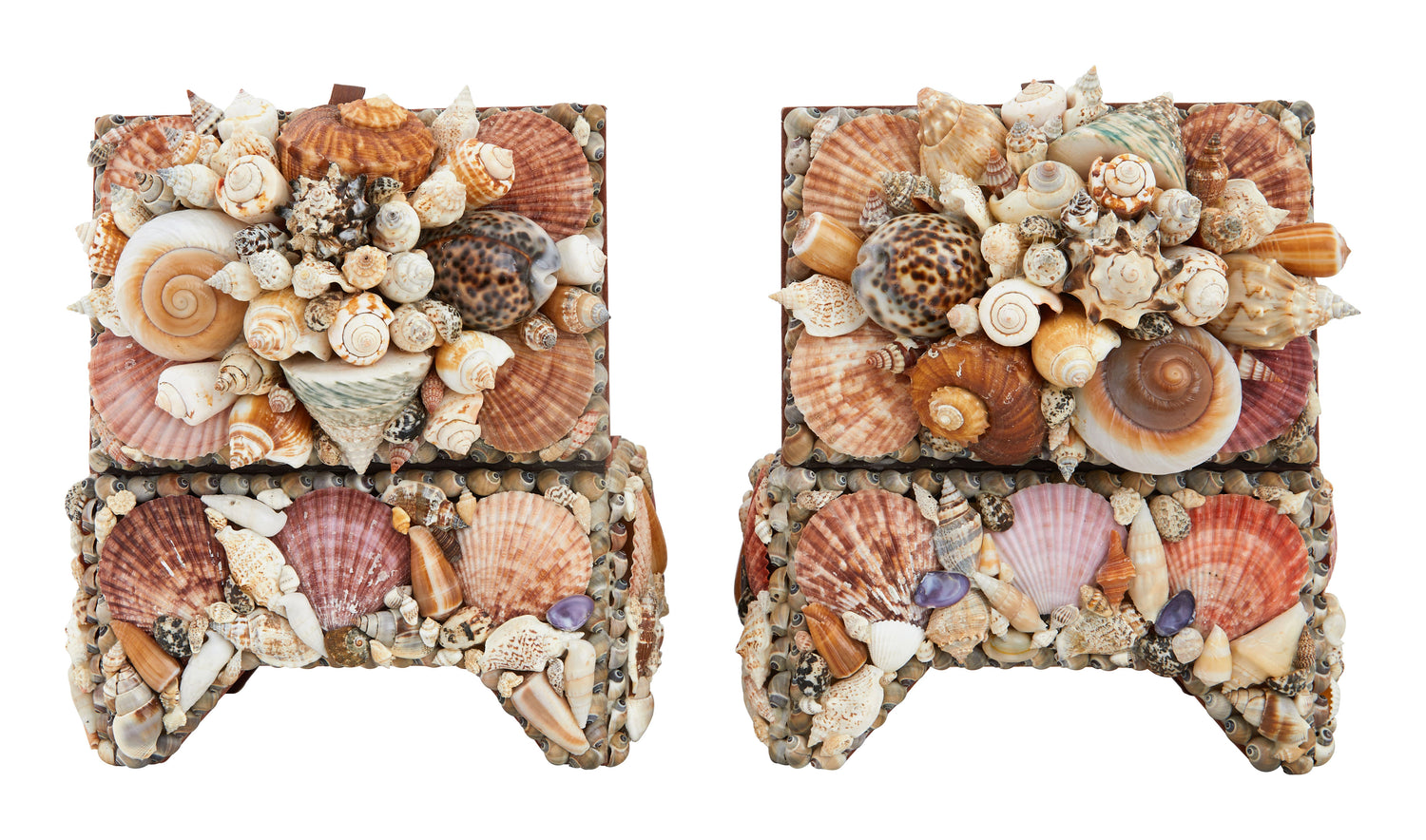 Large Shell Boxes & Jayson Home