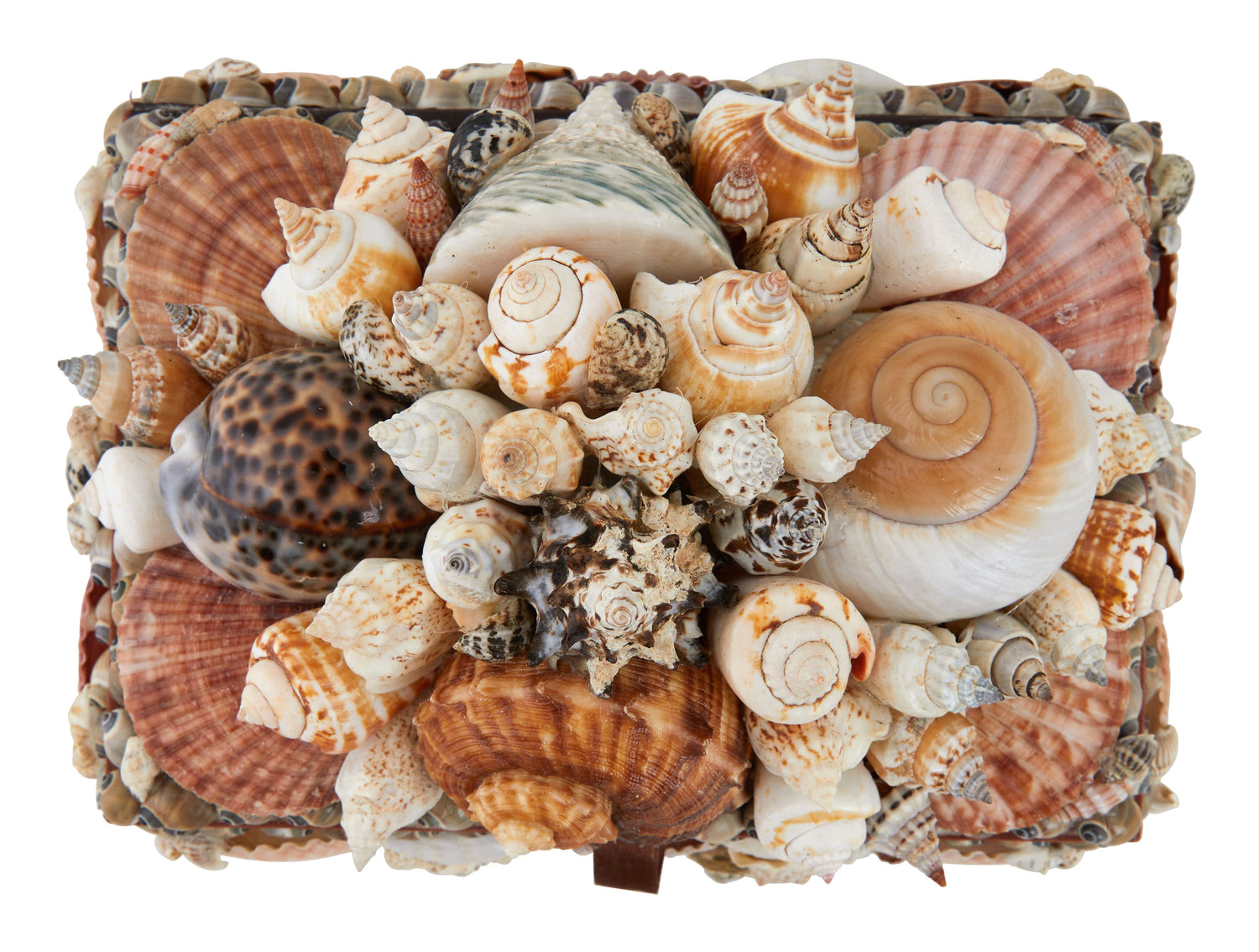 Large Shell Boxes & Jayson Home