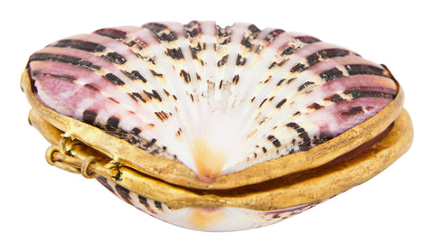 Pecten Shell Stash Box & Jayson Home