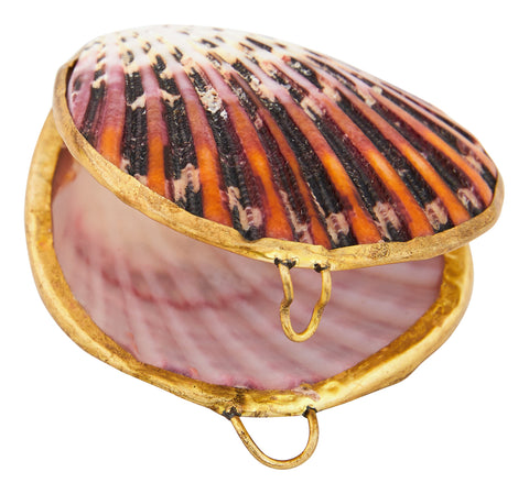 Pecten Shell Stash Box & Jayson Home