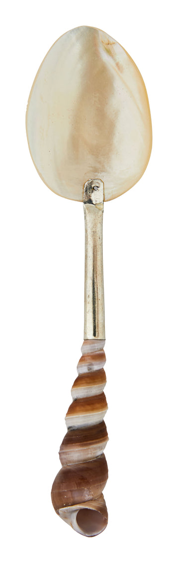 Shell Spoons & Jayson Home