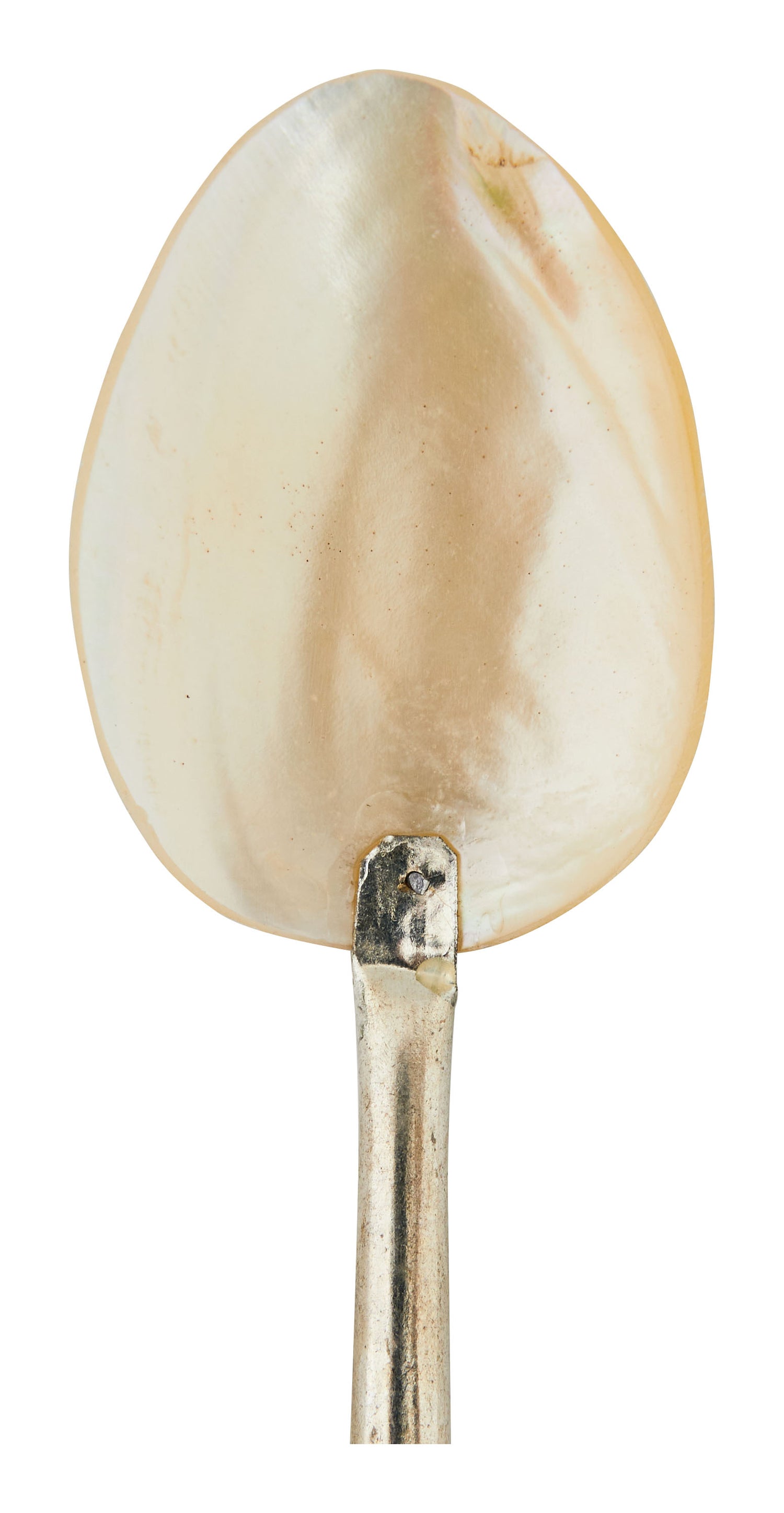 Shell Spoons & Jayson Home