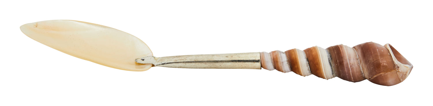 Shell Spoons & Jayson Home