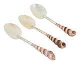 Shell Spoons