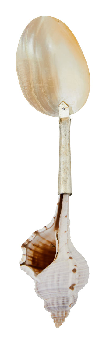 Shell Spoons & Jayson Home