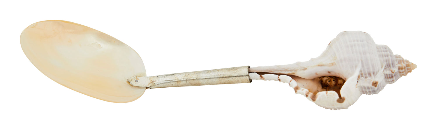 Shell Spoons & Jayson Home