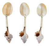 Shell Spoons
