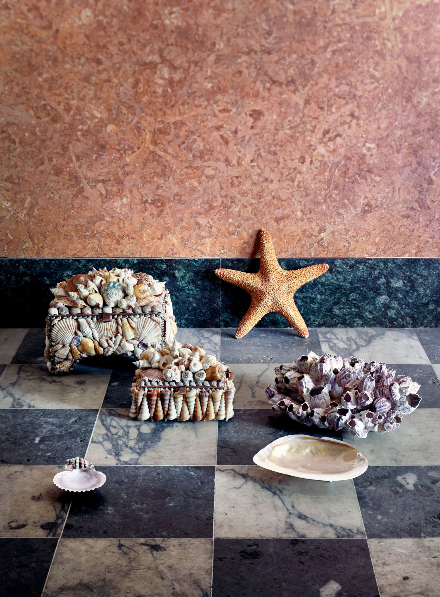 Large Shell Boxes & Jayson Home