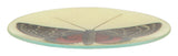 Red and Brown Butterfly Oval Tray
