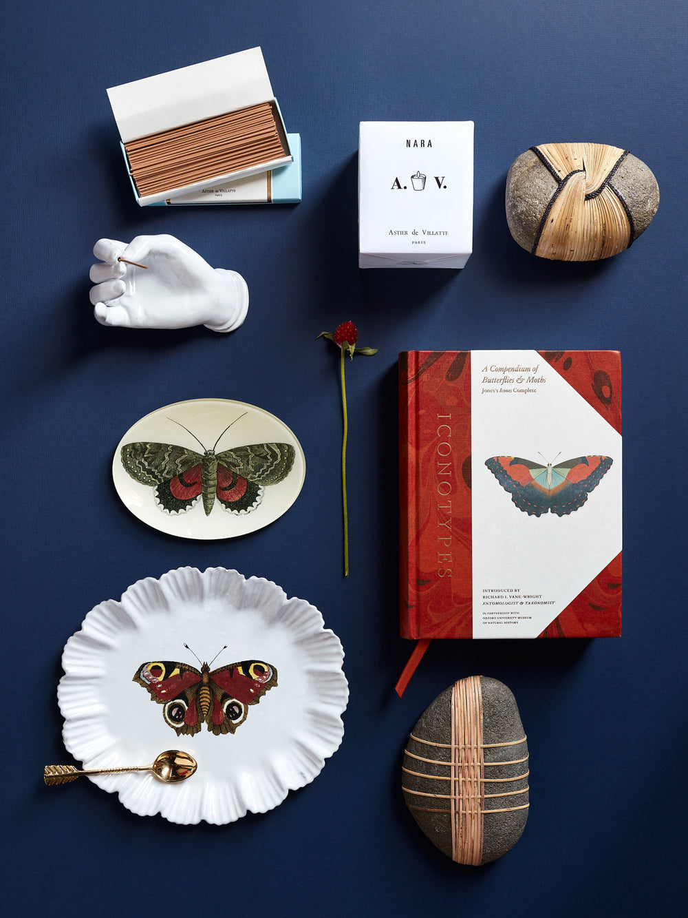 Iconotypes: A Compendium of Butterflies & Moths